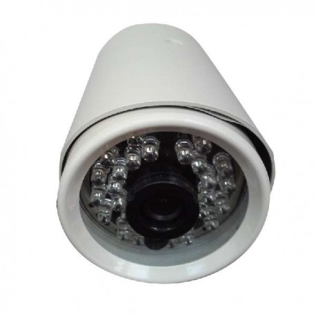 Cámara CCD GL-113P4