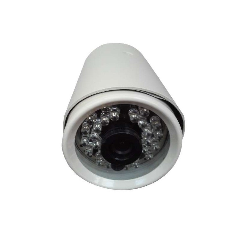 Cámara CCD GL-113P4